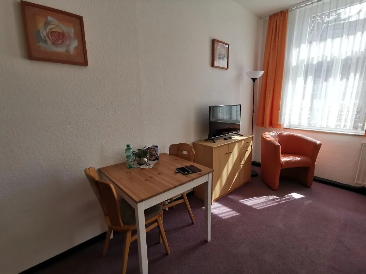 Hotel-Pension Zum Hirsch Hattersheim am Main Guest house